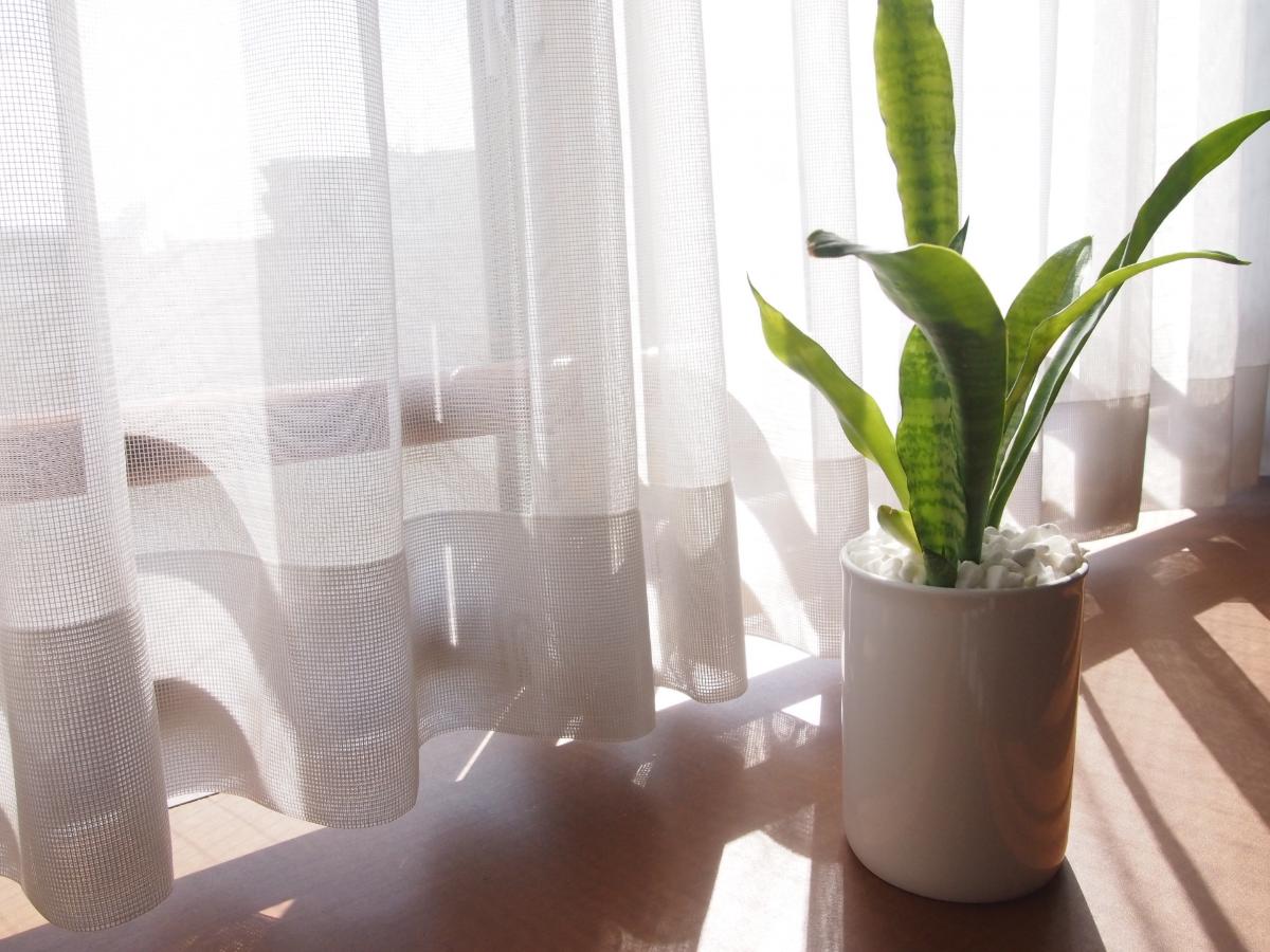 オーダーメイドのレースカーテン初心者必見！失敗しない採寸と注文の極意