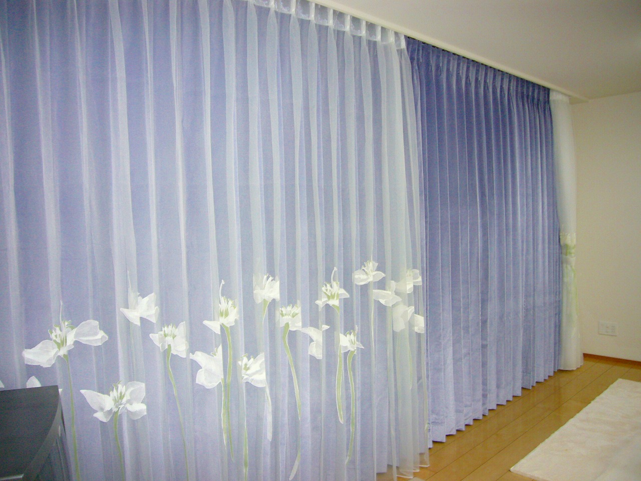 フィスバ｜ベルベット｜超エレガント